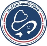 abziteb-logo171585059185.jpg