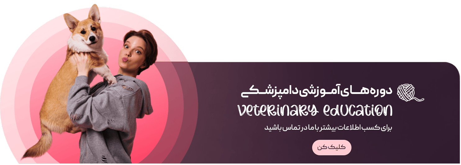 بنر دوره های آموزشی